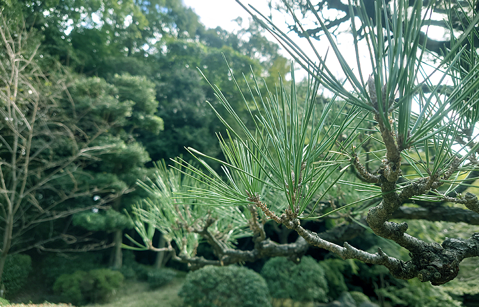 作業事例その１