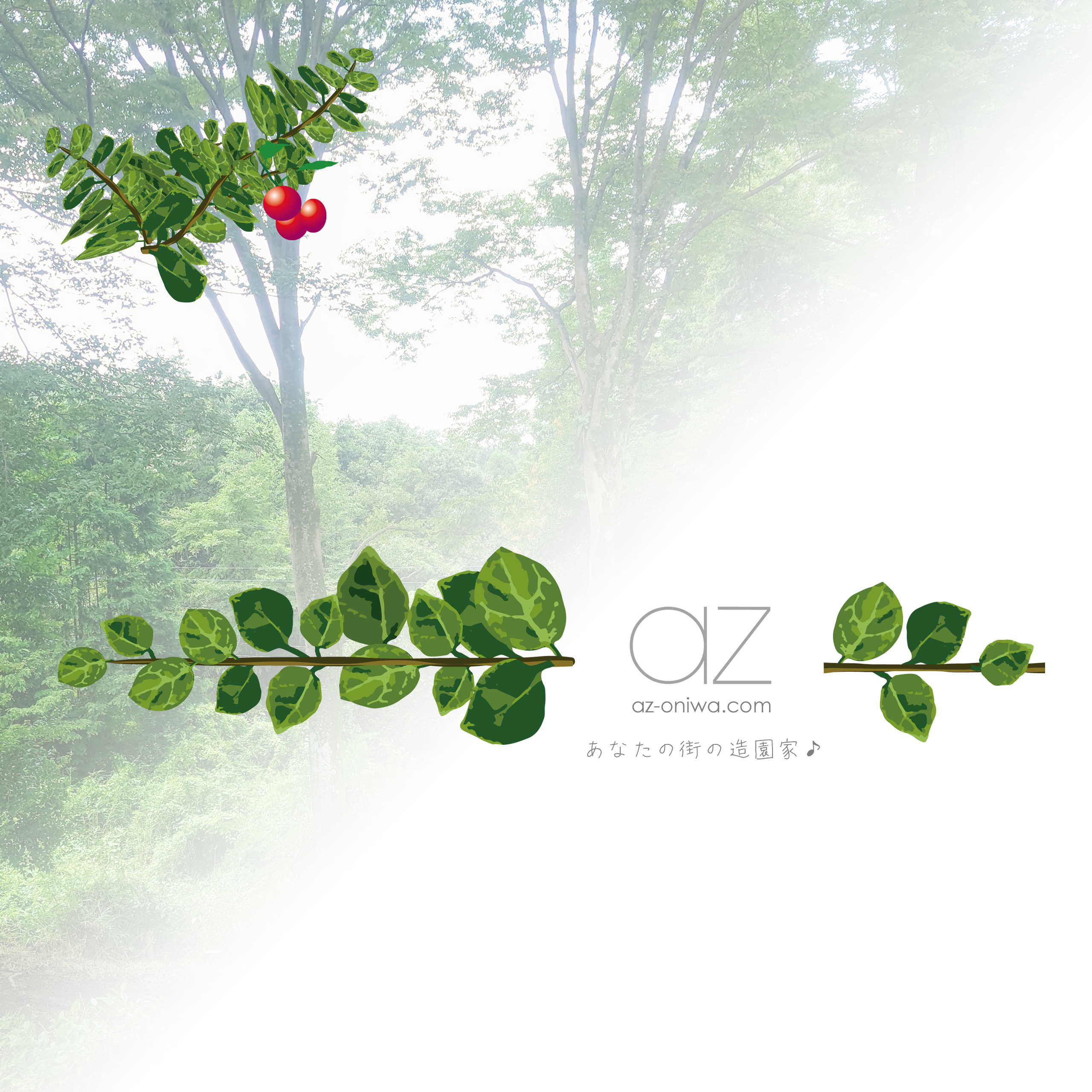 AZ 造園家・青山 修 | こだわりのお庭造り・剪定・芝刈り＆特殊伐採もお任せください！